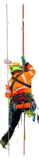 3 e1746684141247