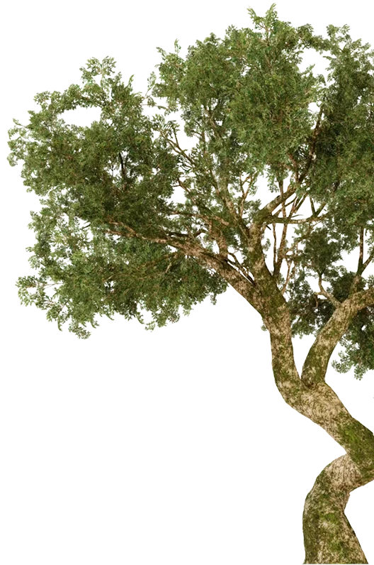 Tree Cutout e1746513958813